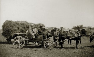 NE Hansen (in back seat) was SDSUâ€™s first head of the Department of Horticulture, serving from 1895 to 1937. He made eight trips overseas to study agriculture and  collect samples.  Hansenâ€™s caravan followed the hardy alfalfa trail for thousands of miles into northern Siberia. Here he is among Kirghiz Tartars in Simipalatinsk, Siberia, in 1913.