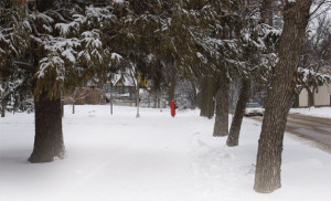 p30-Sidewalk-in-the-snow-book