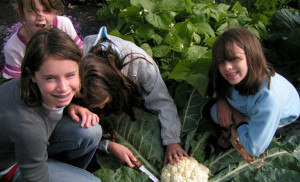 A portion of the community garden in Estelline is set aside for these youngsters, who learn about growing their own food. 
