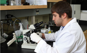 As part of research on using soybean meal as a protein source for commercial fish food, microbiology student Michael Rinehart, of Dell Rapids, examines a sample from the bioreactor to make sure that the mixture is free of contamination. Enzymes and microorganisms used on the soybean meal increase the protein content from about 45 percent to about 70 percent.