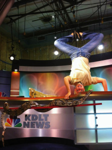 Stephanie Arne â€™05 does a headstand on the KDLT news desk in Sioux Falls, while Julius Squeezer, a red tailed boa, explores and Wiki, an iguana, just watches. The sociology grad is the new Wild Guide on Mutual of Omahaâ€™s Wild Kingdom. As Wild Guide for Wild Kingdom webisodes, Arne will connect with viewers using social media channels like Instagram and Facebook. Arneâ€™s Instagram followers consistently request handstand photos from wherever she is visiting most recently.
