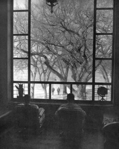 Students relax on the stairway landing in Lincoln Library, with the famous old Feather Elm framed by the picture window waiting out the winter of 1957-58. 