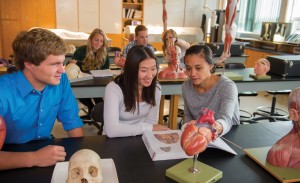 Students look at a model in an anatomy lab.