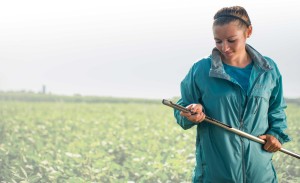 A student takes a soil test.