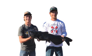 Cody Sechser, left, and Isaac Kipp hold the world-record channel catfish they claimed while bow fishing on the West Branch of Skunk Creek north of Hartford June 9. After a trip to South Dakota Game, Fish and Parks offices in Sioux Falls June 10, the South Dakota State University students sent video to the Bowing Fishing Association of America to gain the world record. This fall, Sechser will be a sophomore while Kipp enters his freshmen year. Both are from Montrose.