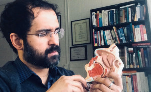 A man looks at a model of a lung.