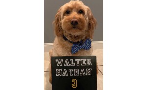 A dog wearing a bow tie sits in front of a sign that reads Walter Nathan 3.