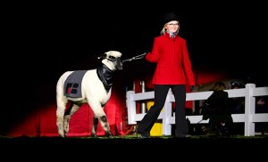 A girl in a bright red coat leads a sheep across the stage.