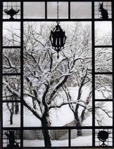 An old window with a view of a tree filled with snow.